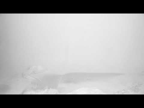 O Banquete (The Symposium)-  Trailer