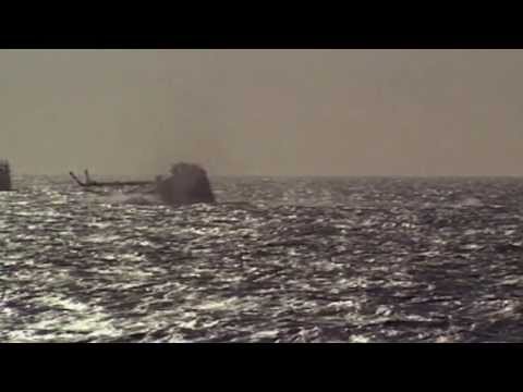 FIRE IN THE NIGHT Official Trailer | In Cinemas June 21st