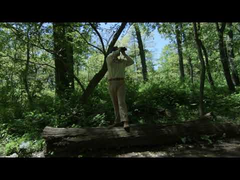 Friends of Mine: “Appreciating Nature”