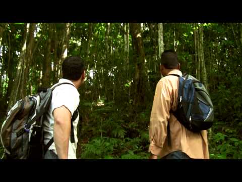 Punto de Control - Trailer