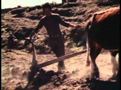 Himalayan Herders - PREVIEW