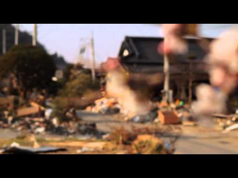 Birders: The Central Park Effect & The Tsunami and the Cherry Blossom - Trailer (HBO Docs)