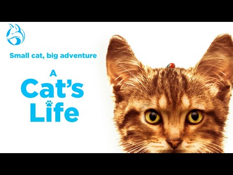 Official US Trailer [Dubbed]