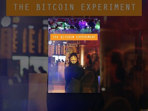 The Bitcoin Experiment