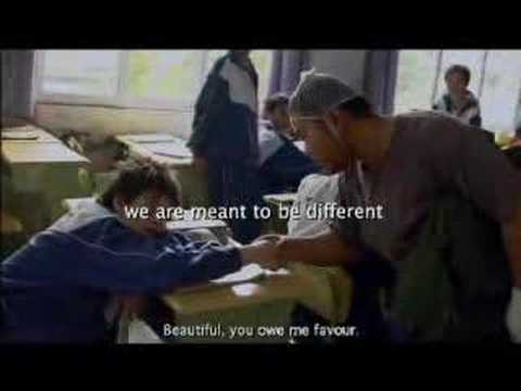 Thirteen Princess Trees