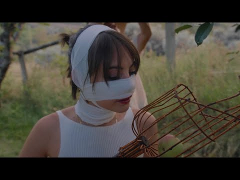 Everything is Changing in PURE IMMERSION