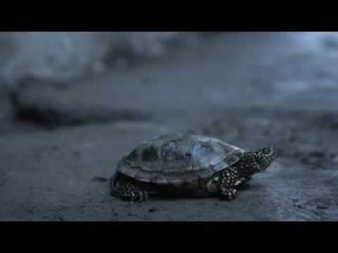 تیزر فیلم دونده زمین