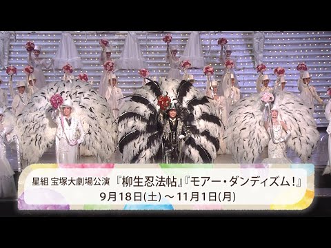 星組公演『柳生忍法帖』『モアー・ダンディズム！』初日舞台映像（ロング）