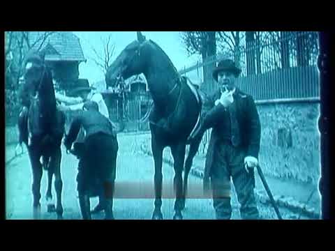 Zigoto et la cavalière (1912) Zigoto et l'écuyère (Gaumont)