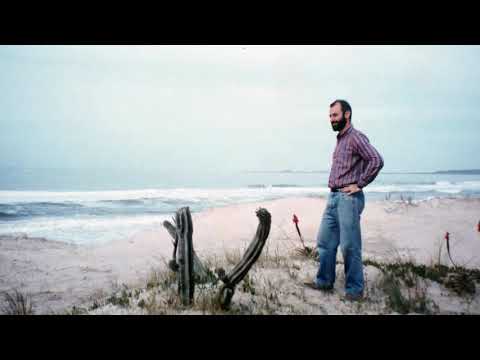 Entre Gatos Universalmente Pardos 2018 94m TRAILER estreno 2019