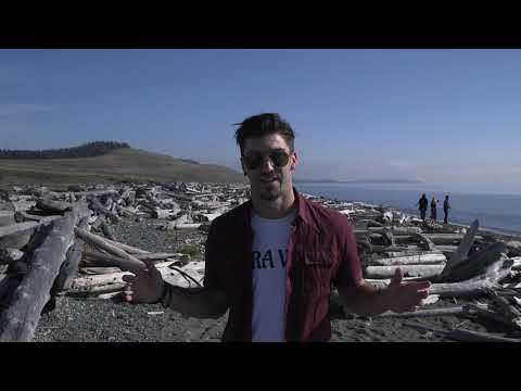 Beyond the Shadows (2021) - Official Trailer