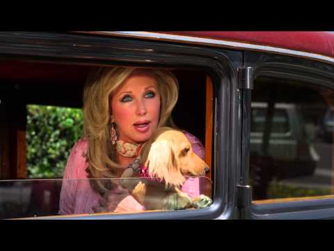 Wiener Dog Internationals