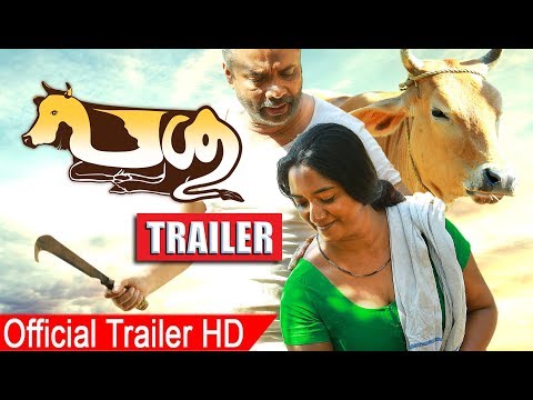 Passu malayalam movie Trailer 2017 | Malayalam Movie Passu Official Trailer