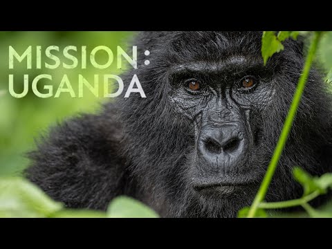 Mission: Uganda - Trailer | Robert Marc Lehmann