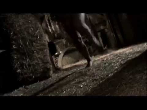 Ed Gein: The Butcher Of Plainfield - Trailer