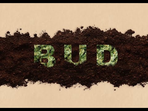 Bud (Short Film Trailer) 4K