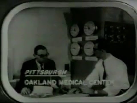 Night Of The Day Of The Dawn Of The Son Of The Bride Of The.