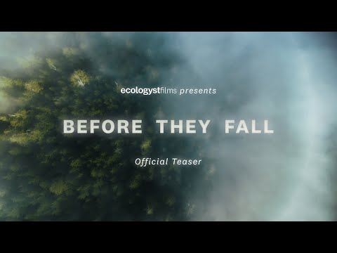 Ecologyst Films presents "Before They Fall" | Official Teaser