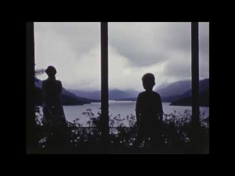 Trailer | John Lilly and the Earth Coincidence Control Office | M. Almereyda & C. Stephens