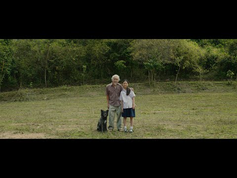 Regretfully at Dawn - Official Trailer