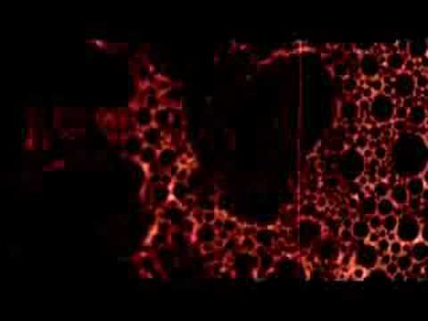 Rosebery 7470 Trailer