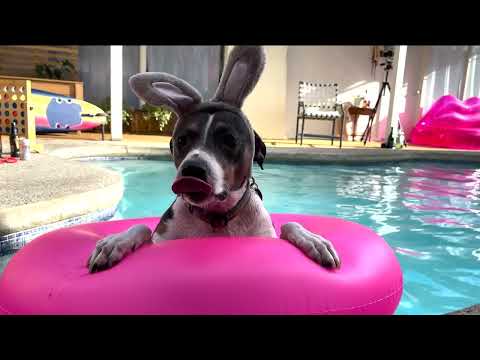 How We Became Friends