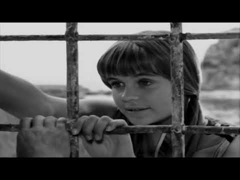 Κορίτσια στον Ήλιο | EVIA FILM PROJECT 4