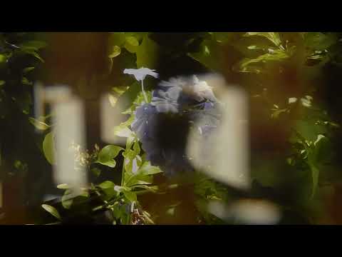 Recordar para no olvidar - Trailer