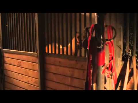 PRINCESS AND THE PONY TRAILER