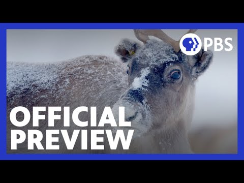 Santa's Wild Home | Official Preview | NATURE | PBS