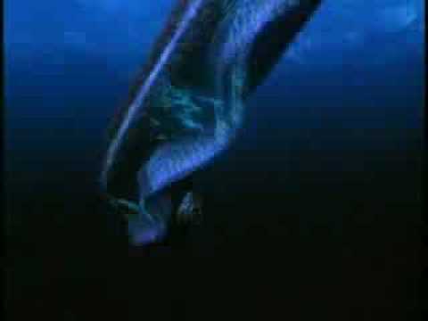 Deep Shock Movie Trailer