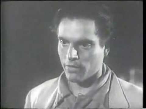 Female Jungle 1955 Trailer