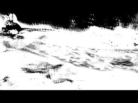 The Death Ox - TEASER