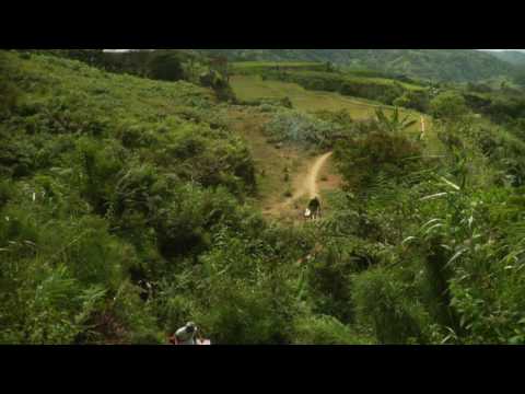 24K The Movie Trailer