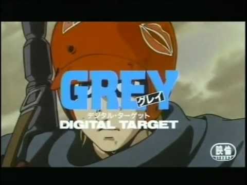 Grey: Digital Target Advertisement