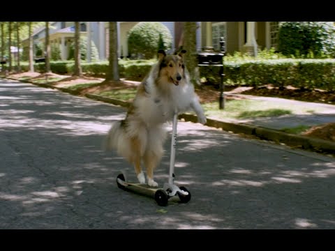 Five Date Rule - Trailer