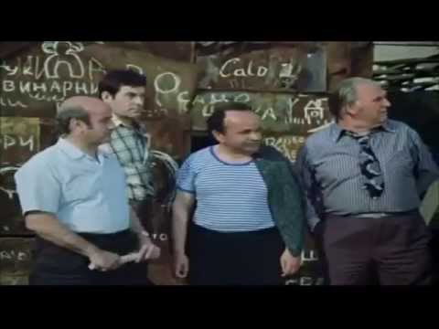 Прасета не може, а кучета и котки може