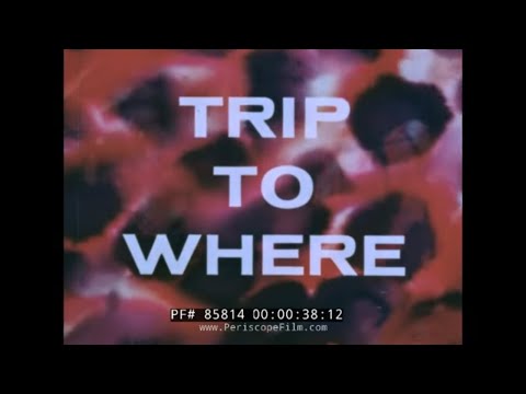U.S. NAVY HALLUCINOGENIC DRUG SCARE FILM   LSD  TRIP TO WHERE?  85814