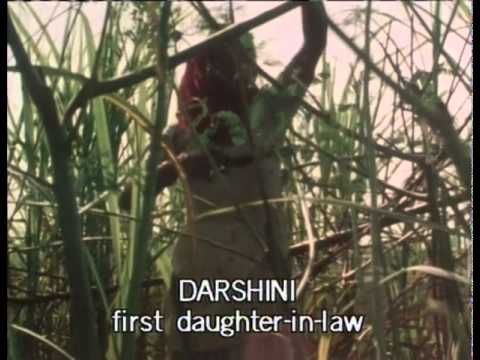 Odyssey Series: Dadi's Family - PREVIEW