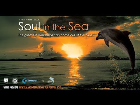 SOUL IN THE SEA TRAILER (NOV 2013)