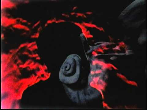 The Human Body Trailer