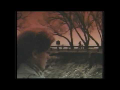 The Last Best Year (1990) trailer