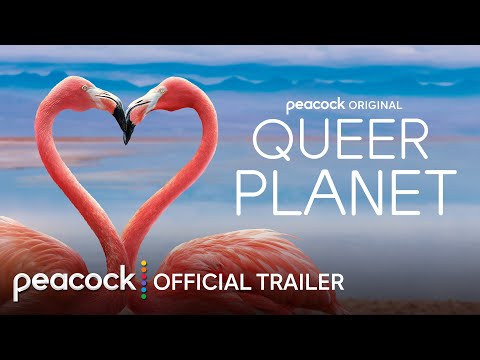 Official Peacock Trailer