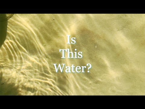 Is This Water?