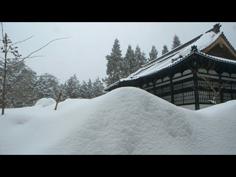 ZEN FOR NOTHING - official US trailer