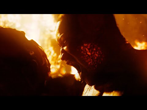 The Grove | Official Trailer