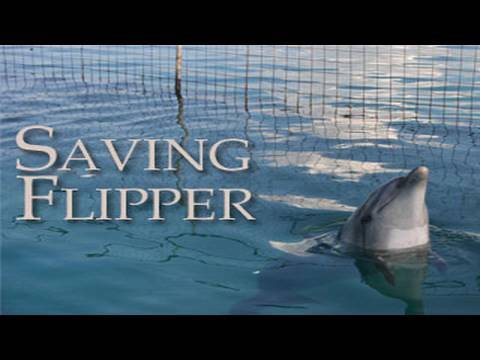 Saving Flipper - Trailer