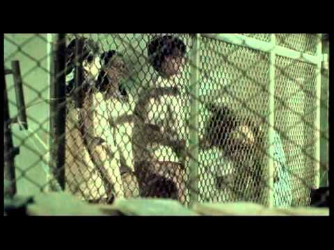 BUTTERFLY IN GRAY SUB TITLE TRAILER