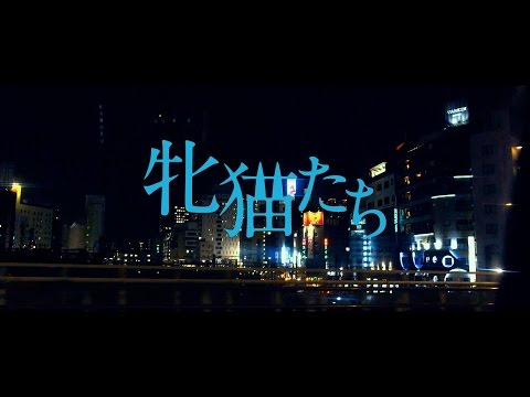 白石和彌監督『牝猫たち』予告編