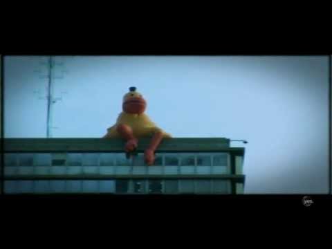 מסעות הברווז: ברווז על ראש הגג